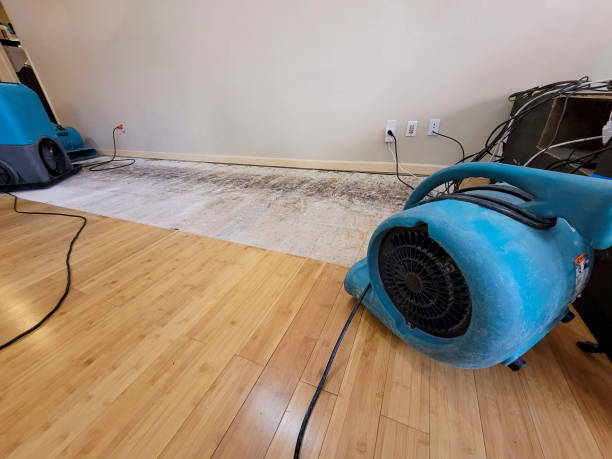 Professional Water Extraction technician working in Ossining, NY